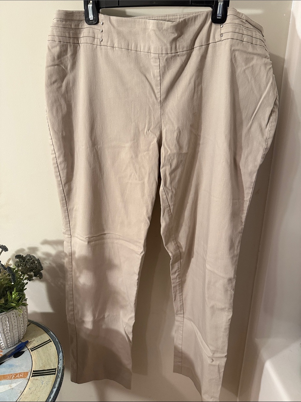JM Collection Light Beige Straight-Leg Pull-On Pants 20W plenty of stretch